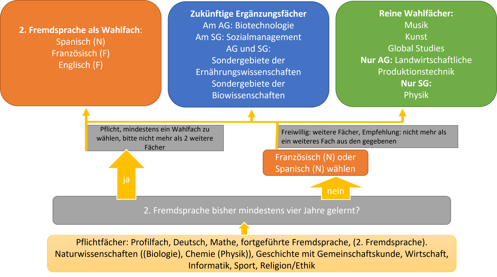 Das Bild informiert über das Wahlfach- und Wahlpflichtfach-Angebot. Schülerinnen und Schüler, die noch keine 2. Fremdsprache gelernt haben, müssen für die kommenden drei Jahre Französisch oder Spanisch für Anfänger wählen. Alle, die bereits eine 2. Fremdsprache vier Jahre lang gelernt haben, müssen mindestens ein Wahlfach wählen. Dies kann ein eine weitere Fremdsprache sein, aber auch ein zukünftiges Ergänzungsfach, z.B. Biowissenschaften oder aber Musik oder Bildende Kunst. Am AG gibt es auch Landwirtschaftliche Produktionstechnik als reines Wahlfach in Klasse 11. 